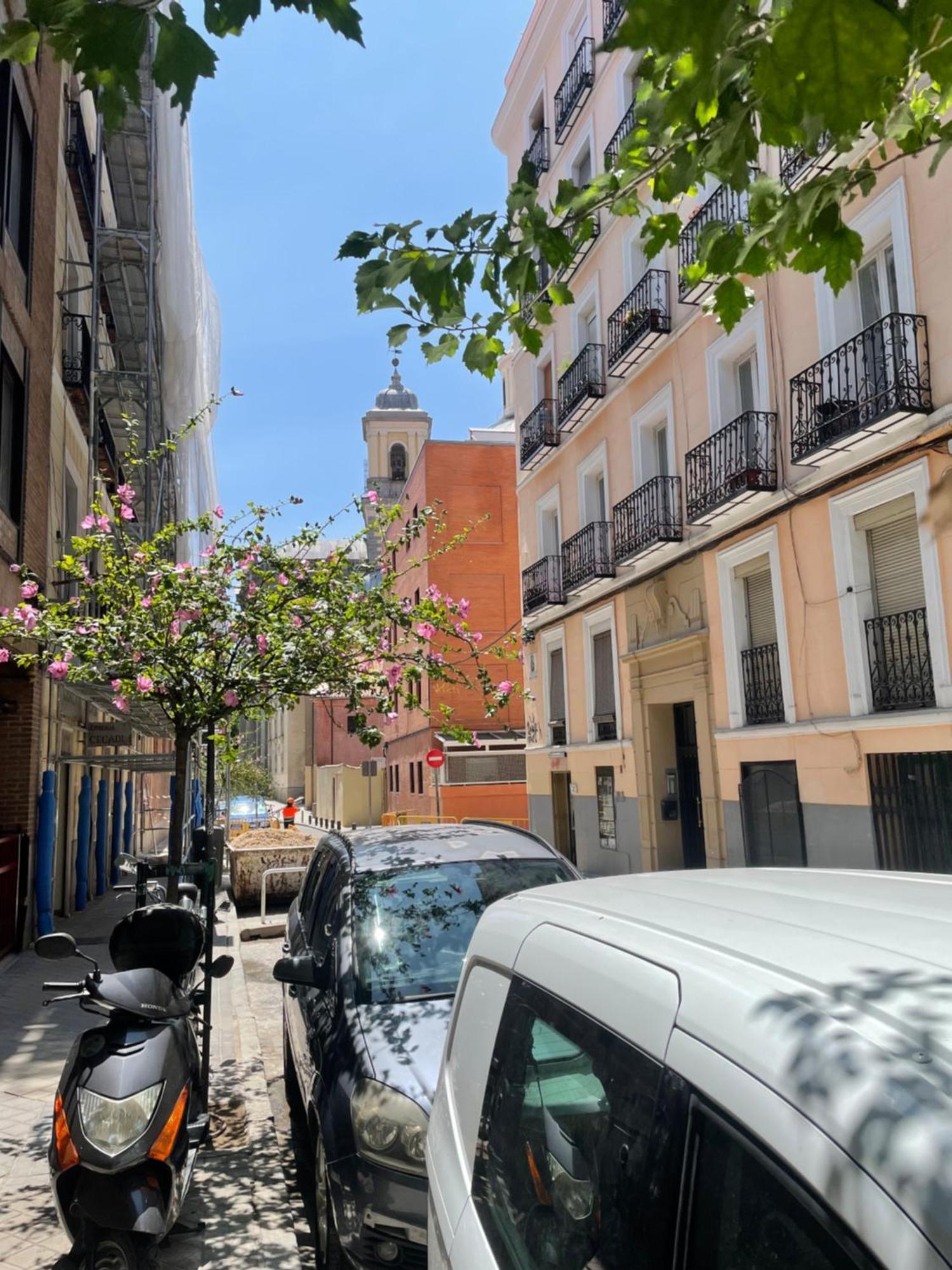 شقة San Buenaventura Vistillas Apartamento Para Dos مدريد المظهر الخارجي الصورة